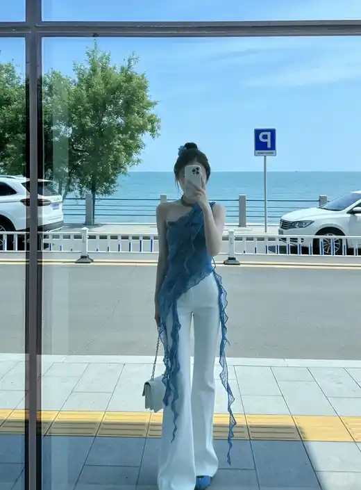 PE029 参考图