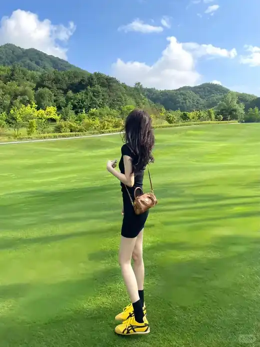 PE032 参考图