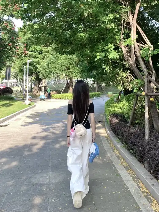 PE033 参考图